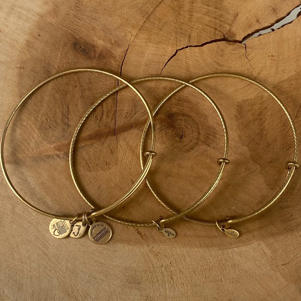 ALEX & ANI Charm Bangle Set of 3, Energy Bracelet, Rafaelian Gold Nickel-Free